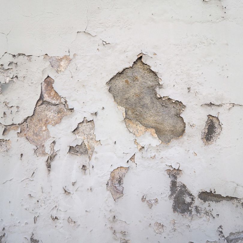 Rising damp treatment and replastering after salt contamination